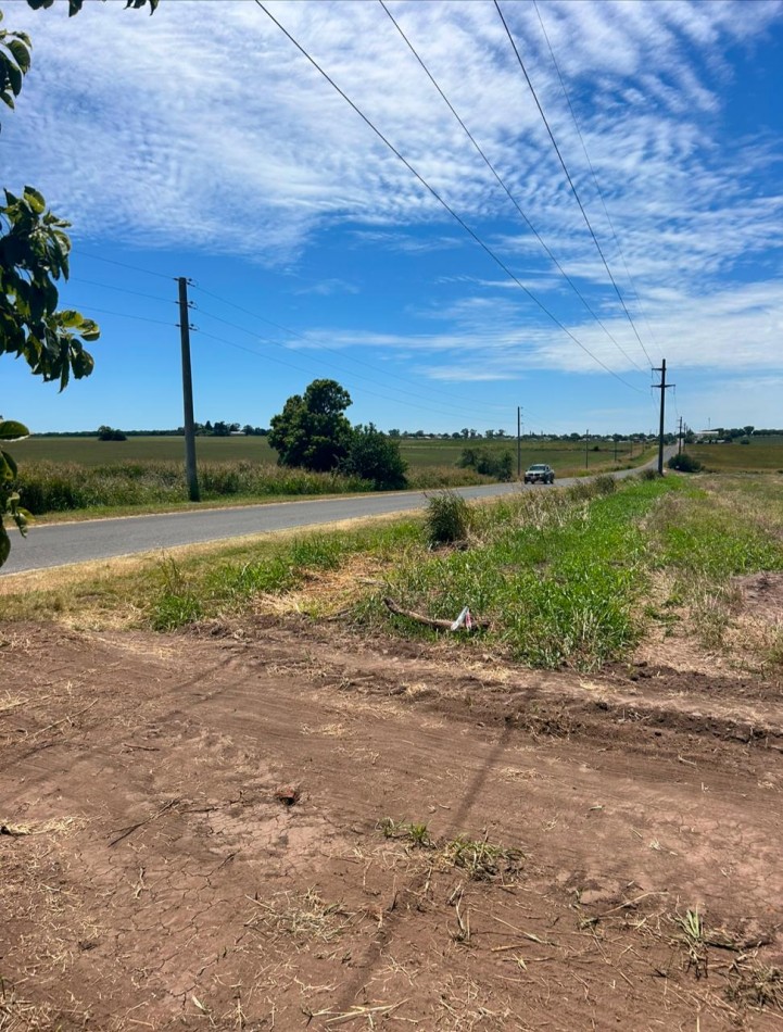 TERRENOS EN COLONIA ENSAYO, CAMINO A FIDANZA 