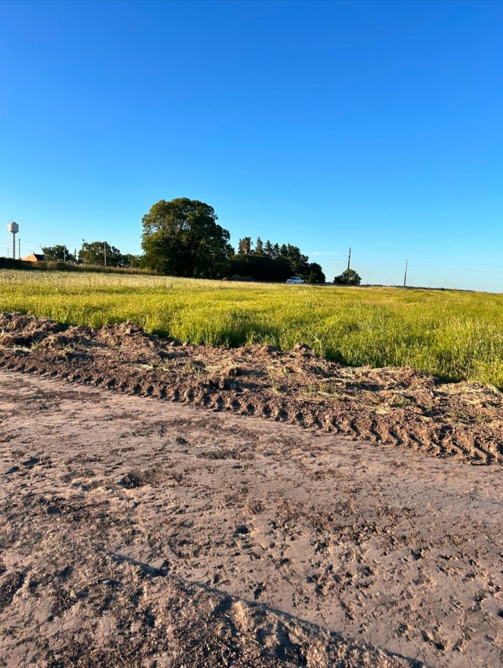 TERRENOS EN COLONIA ENSAYO, CAMINO A FIDANZA 