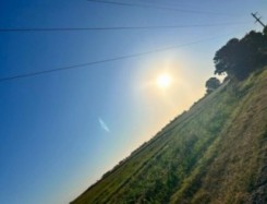 TERRENOS EN COLONIA ENSAYO, CAMINO A FIDANZA 